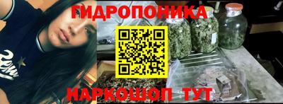 мяу мяу кристалл Ярославль