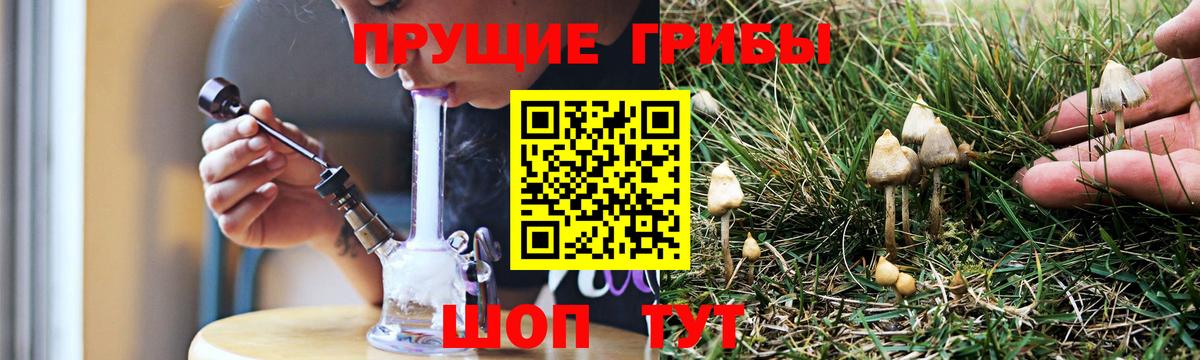 Галлюциногенные грибы MAGIC MUSHROOMS  Псилоцибиновые грибы Cubensis  Каменск-Уральский  Вход с VPN 